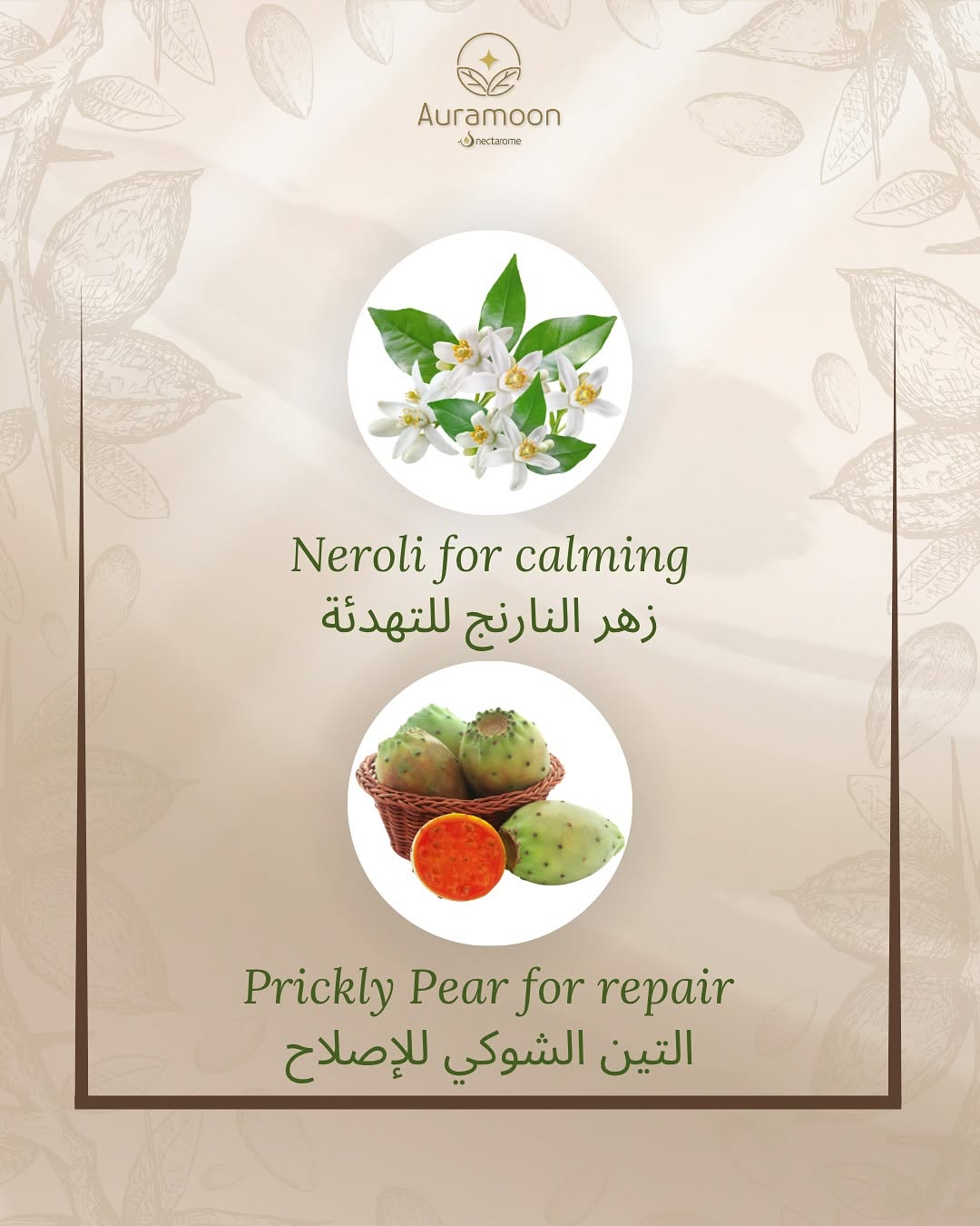 Face Serum Prickly Pear, Argan and Neroli